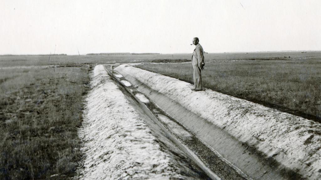 gyeptelepites_grassland_hu