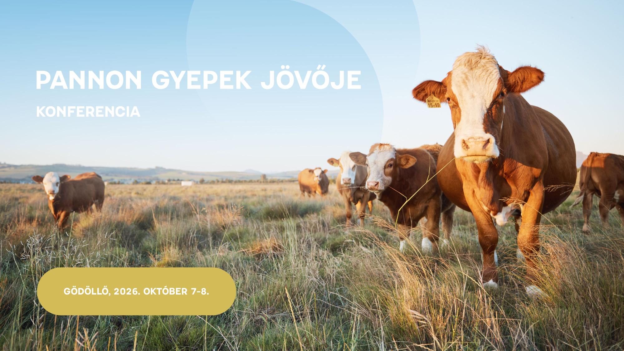 PANNON_gy_j_konferencia