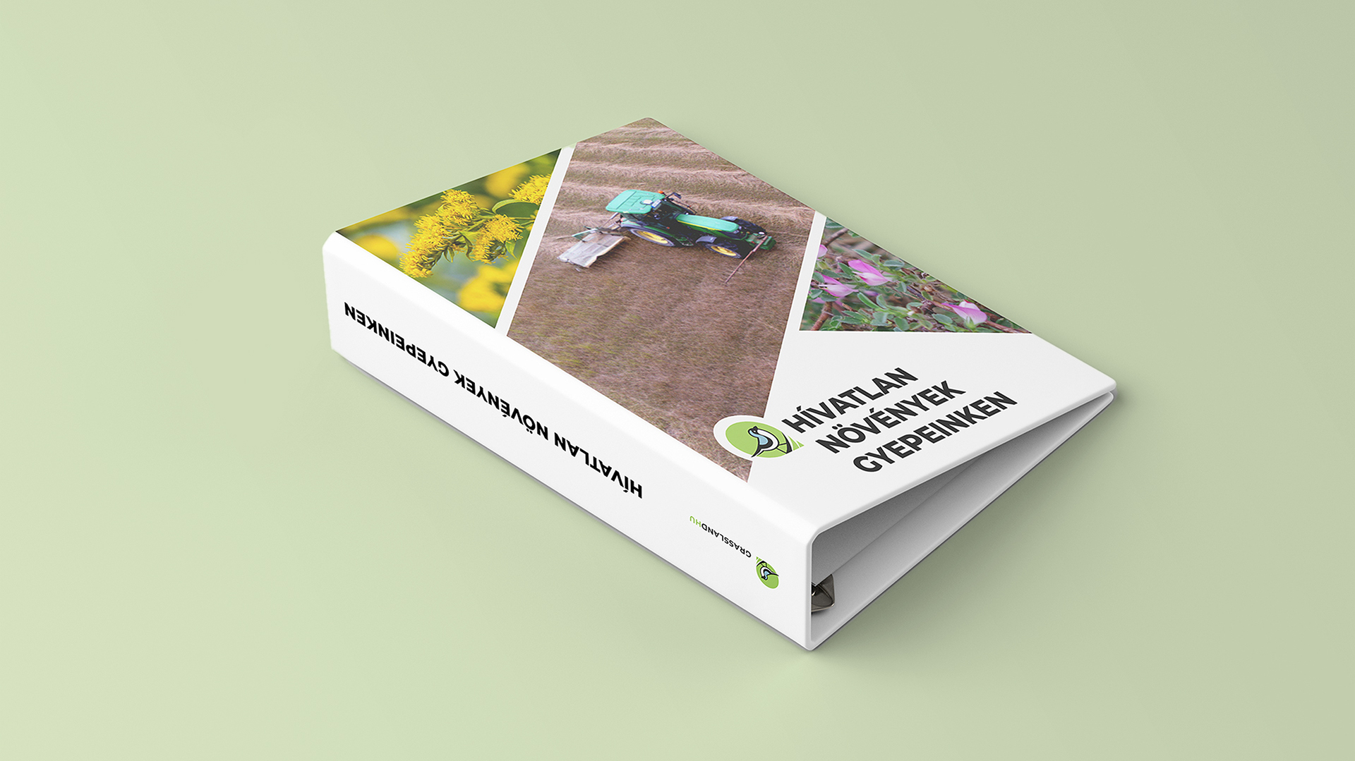 grassland_hivatlan_novenyek_gyepeinken