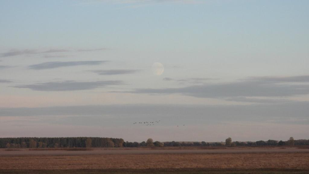 gyepkezelesi-akcioink