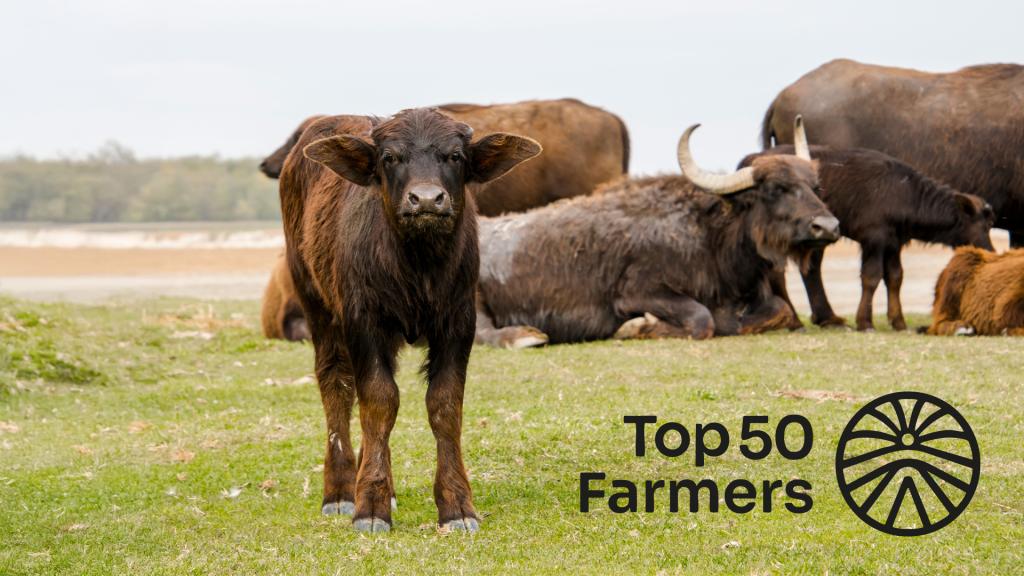 top50