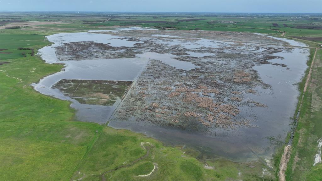 elohelyfejlesztes_grassland_mme