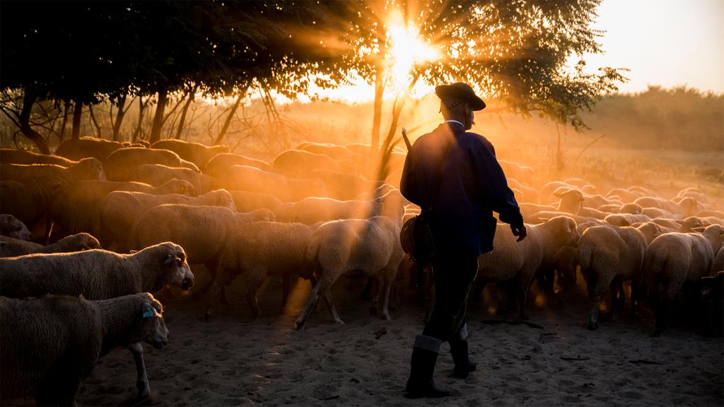 Gazdaworkshop_otodik_eloadás