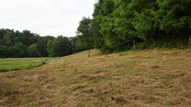 koszegi_gyepgazdalkodasi