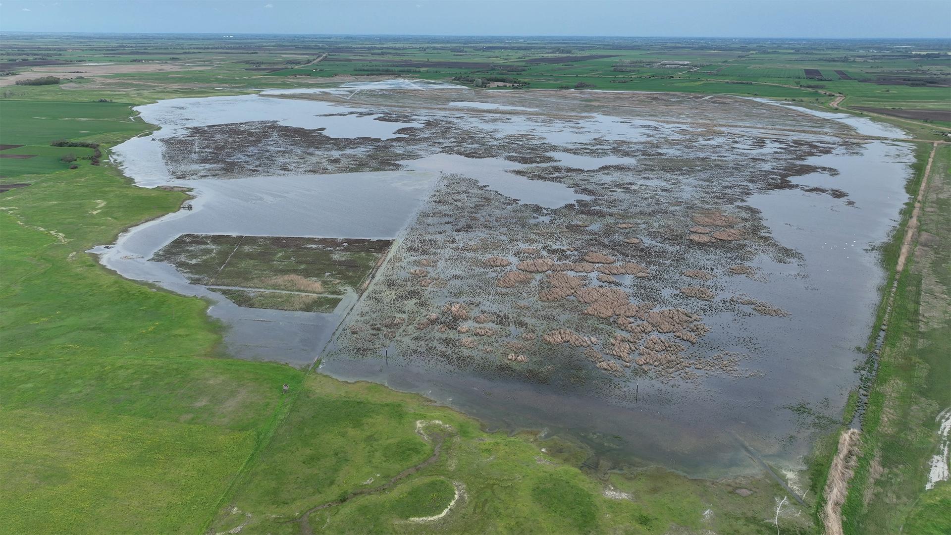 elohelyfejlesztes_grassland_mme